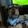 Eri's profile picture
