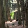 Lorr profil fotoğrafı