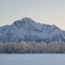 Фото профиля wethepeoplealaska