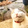 えど 的头像