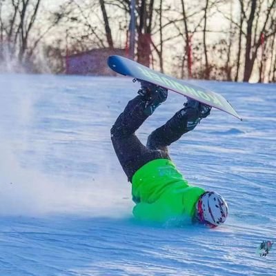 东北绿奴's profile picture
