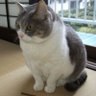山田健司 profil fotoğrafı