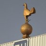 Just Tottenham News 的头像