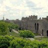 Amed 的头像