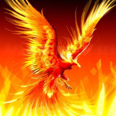 浅野 長勝's profile picture