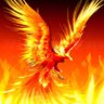 Profilbild von phoenix-0513