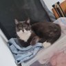 Profilbild von Mathildou