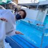 sonoko's profile picture