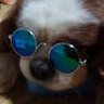 無色's profile picture