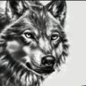 BWoolf profil fotoğrafı