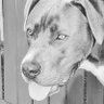 Coop's profile picture