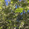 Фото профиля izink38