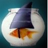 Hellegatt - Ironie, Sarkasmus kenne ich nicht. 🥳's profile picture