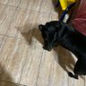 waqpppg 的头像