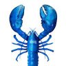Blue Lobster ❄️🇫🇷 的头像