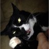 Scott's profile picture