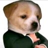 Profilbild von lander