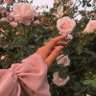 𝚁𝙴🎗️'s profile picture