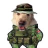 Mark Fella 🇨🇦🇺🇦🇮🇱🏳️🌈(Ally)🦈🦝 profil fotoğrafı