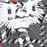 kal's profile picture