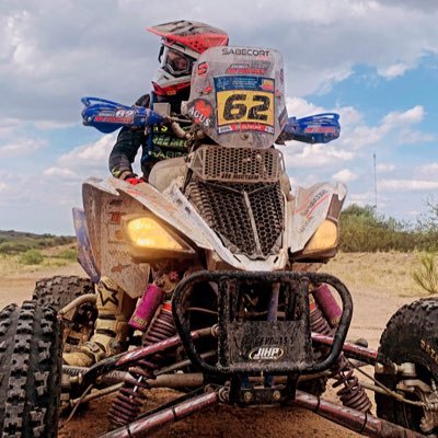 DinoDiPalma's profile picture