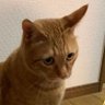 Profilbild von Jack