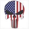 Patriot17 的头像