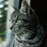 Фото профиля Marcel