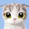 总瓢把子's profile picture