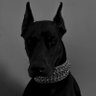 𝐿𝓊𝓀𝒾𝓃𝒽𝒶𝓈's profile picture