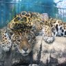 栃尾保江 profil fotoğrafı