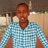 Ahmed Ali's profile picture