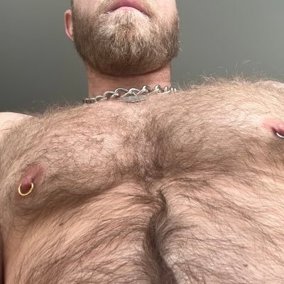 pits_and_pre's profile picture