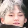 Profilbild von y T