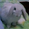 KUMI's profile picture