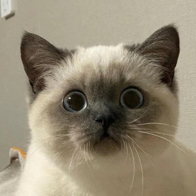 Daphne_078's profile picture