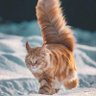 Фото профиля Eriswijaya0200