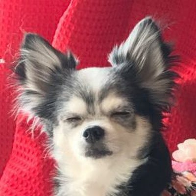 ポテハムTV's profile picture