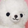 運子's profile picture