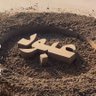 Profilbild von عبود الحربي