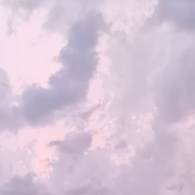 sukuner's profile picture