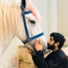 Profilbild von Ali Baig