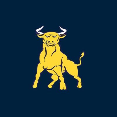 Golden Bulls's profile picture