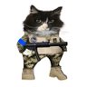 Felix #NAFOCatsDivision 🇳🇱🇺🇦🇰🇷🇪🇺🐈's profile picture
