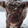 Фото профиля SlowMoo