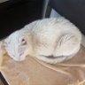 Skimep's profile picture