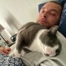 Romiche profil fotoğrafı