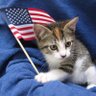 Patriots Unite🇺🇸 profil fotoğrafı