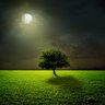 Фото профиля submoon