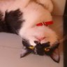Anhy's profile picture